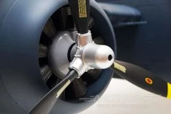 FlightLine F7F-3 Tigercat 1600mm (63") Wingspan - PNP -Freewing Shop flightline f7f 3 tigercat 1600mm 63 wingspan pnp motion rc 26253817804