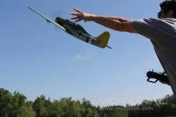 FlightLine Fw 190 D-9 Dora 850mm (33") Wingspan - PNP 17 FlightLine Fw 190 D-9 Dora 850mm (33") Wingspan - PNP -Freewing Shop flightline fw 190 d 9 dora 850mm 33 wingspan pnp motion rc 7279711846513