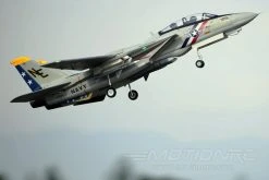 Freewing F-14 Tomcat Twin 80mm EDF Jet - ARF PLUS -Freewing Shop freewing f 14 tomcat twin 80mm edf jet arf plus motion rc 7183672868977
