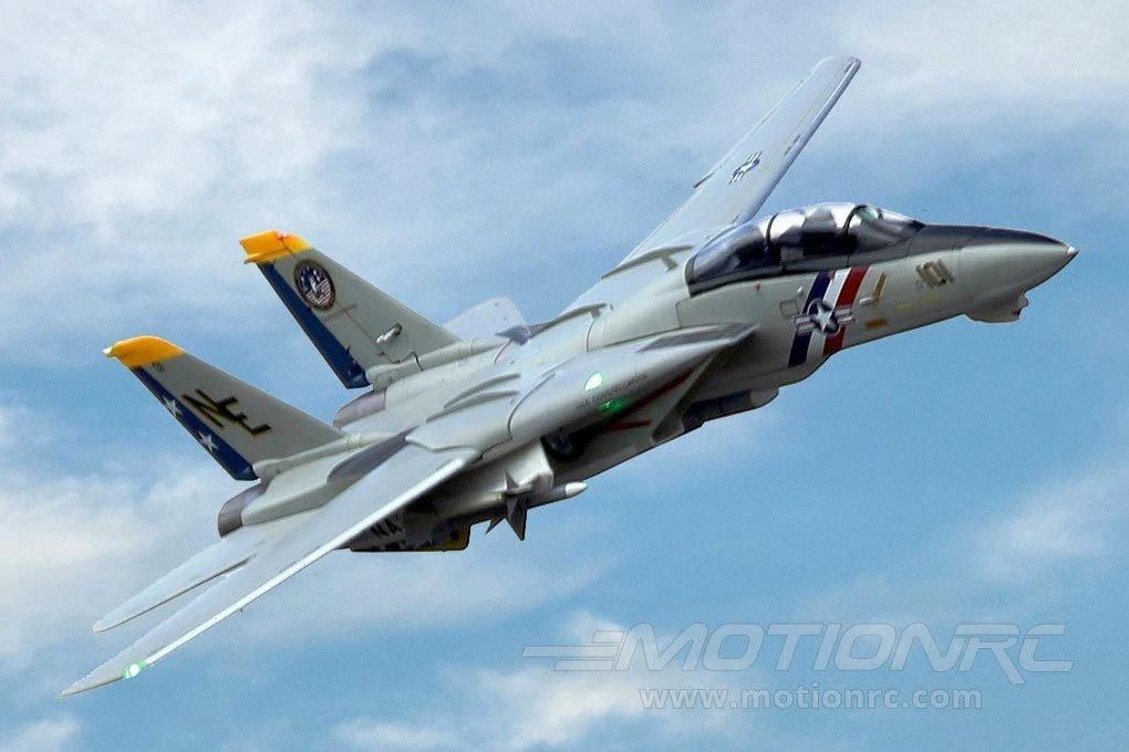 Freewing F-14 Tomcat Twin 80mm EDF Jet - PNP 4 Freewing F-14 Tomcat Twin 80mm EDF Jet - PNP - Image 2