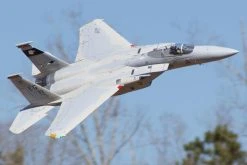Freewing F-15C Eagle Super Scale High Performance 90mm EDF Jet - PNP