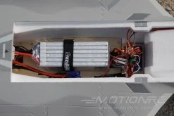 Freewing F-22 Raptor 90mm EDF Jet - ARF PLUS -Freewing Shop freewing f 22 raptor 90mm edf jet arf plus motion rc 5594668793969