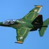 Freewing Yak-130 Green 70mm EDF Jet - PNP -Freewing Shop freewing yak 130 green 70mm edf jet pnp motion rc 34104185651385