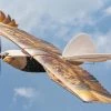 Skynetic Bald Eagle 1500mm (59") Wingspan - ARF BUNDLE -Freewing Shop skynetic bald eagle 1430mm 56 wingspan arf bundle motion rc 29033130918073
