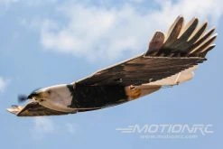 Skynetic Bald Eagle 1500mm (59") Wingspan - ARF BUNDLE -Freewing Shop skynetic bald eagle 1430mm 56 wingspan arf bundle motion rc 29652154646713